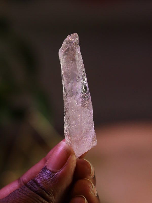 Root Lemurian Code Keeper — diepe activatie van jouw wortelchakra, veiligheid & ancient wisdom codes.
