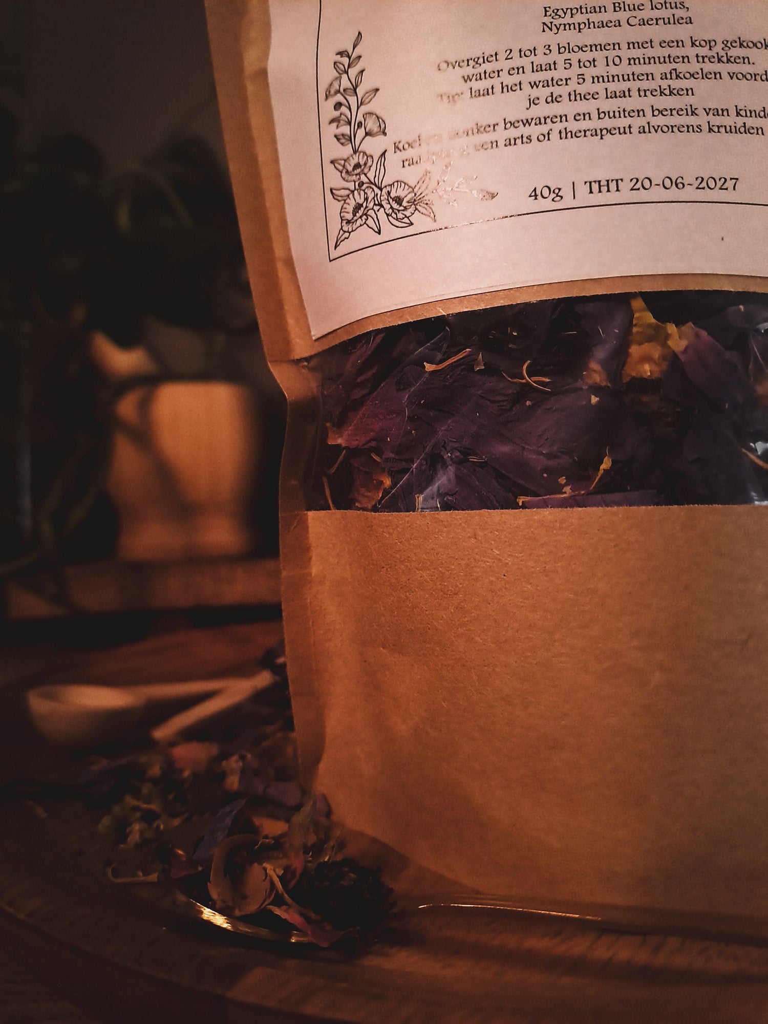 The Spiritual Apothecary