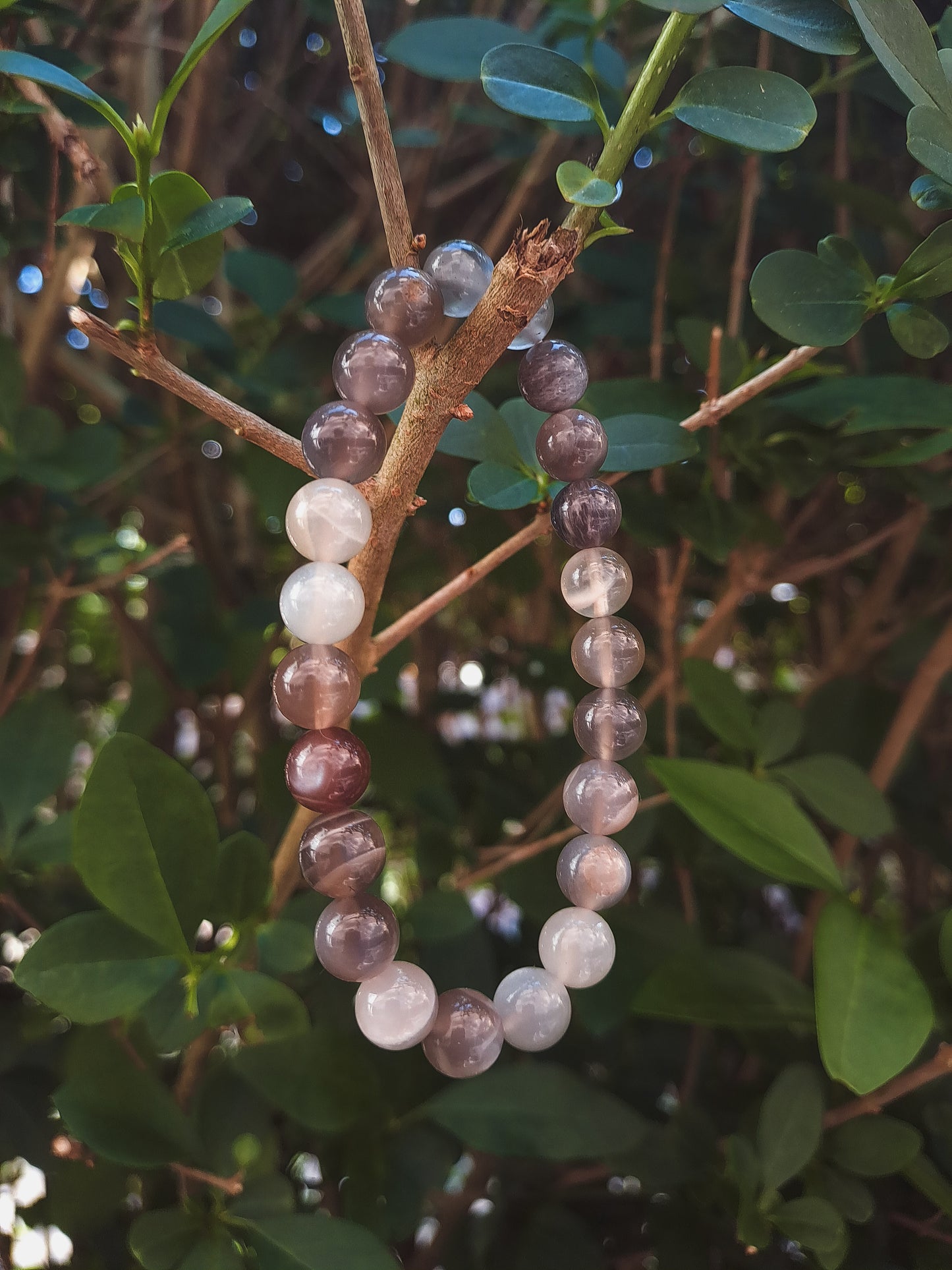 Mystic Moon| Grijze Maansteen Talisman Armband