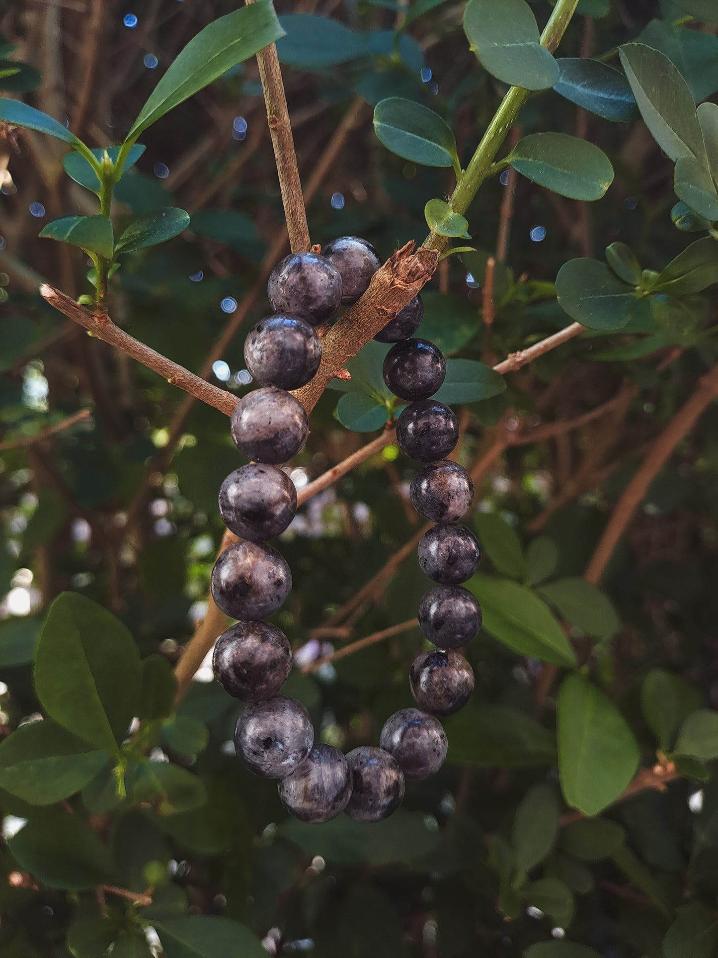 The Transmutor| Lavierkiet Talisman Armband