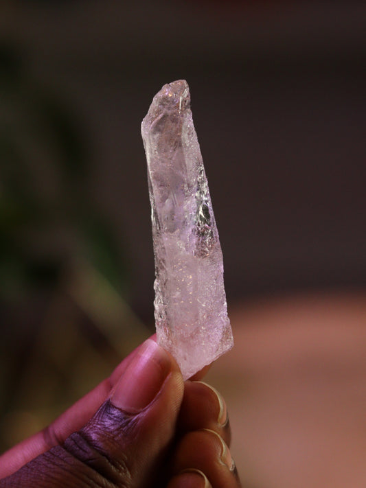 Root Lemurian Code Keeper — diepe activatie van jouw wortelchakra, veiligheid & ancient wisdom codes.
