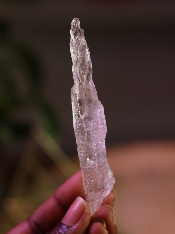Root Lemurian Code Keeper — diepe activatie van jouw wortelchakra, veiligheid & ancient wisdom codes.
