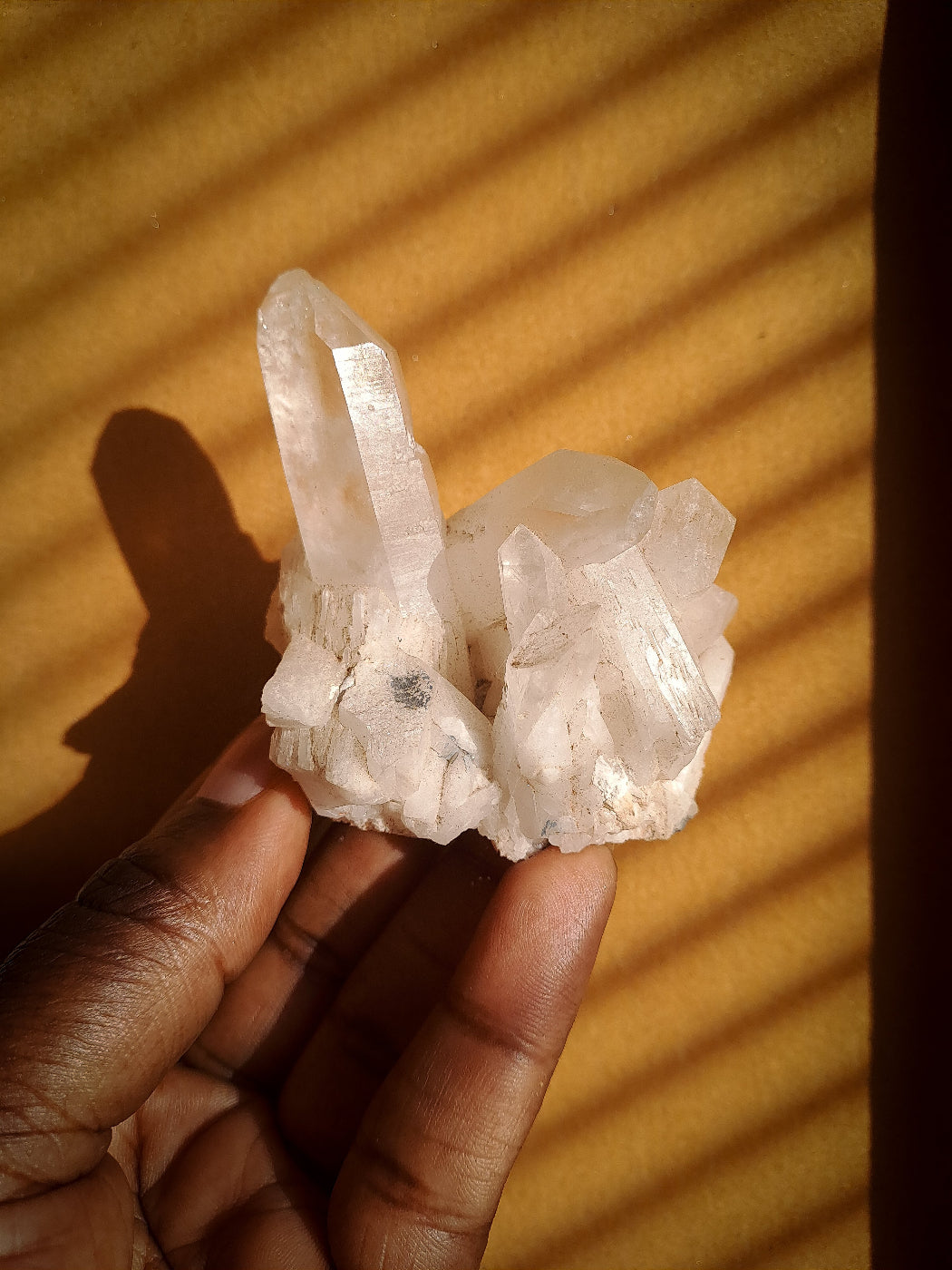 •New Earth Code Bringer| Lemurian Consciousness activator | Ascension Guide | frequency aligner.